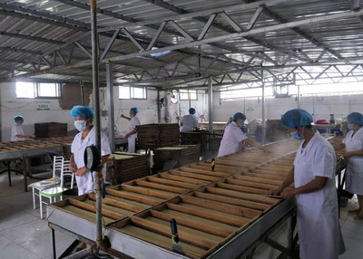 聚焦農村發展，食品技術研發助力鄉村振興