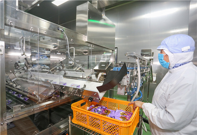 東元空調(diào) 以精密環(huán)境控制，賦能食品技術(shù)開發(fā)與安全生產(chǎn)