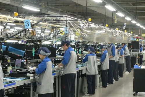 月薪過萬仍遇冷，兩大行業(yè)面臨“斷代”危機——90后大學生就業(yè)觀之變