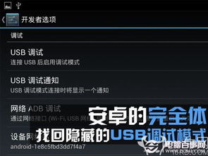 USB調(diào)試不見了怎么辦？電腦圖文設(shè)計(jì)找回隱藏的USB調(diào)試模式指南